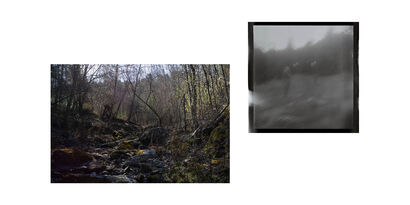 Figures in the Mist - a Photographic Art Artowrk by Luisa Milano